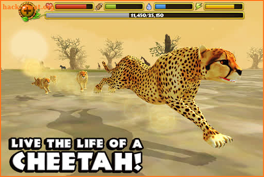 Cheetah Simulator screenshot