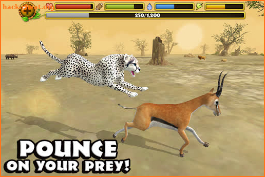 Cheetah Simulator screenshot