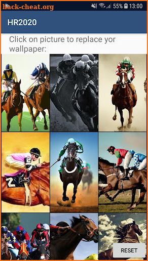 Cheltenham Horse Racing screenshot