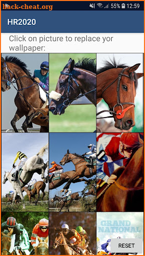 Cheltenham Horse Racing screenshot