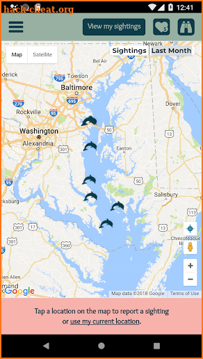 Chesapeake Dolphin Watch screenshot