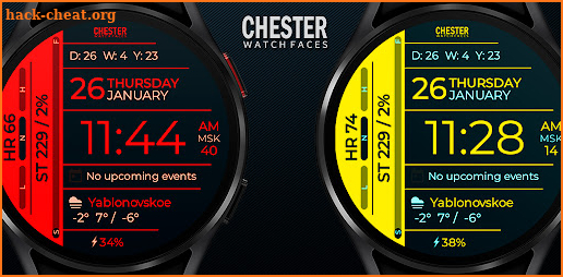 Chester Info Edge watch faces screenshot