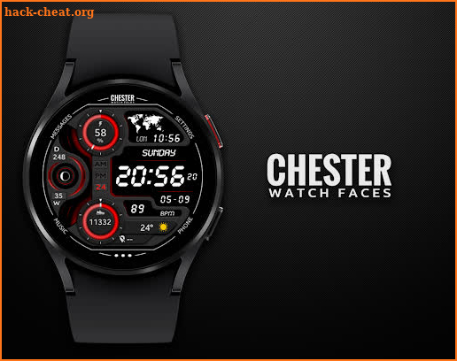 CHESTER LCD MODERN screenshot