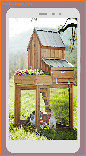 Chicken Coop Design screenshot