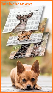 Chihuahua Cute Puppy keyboard Theme screenshot