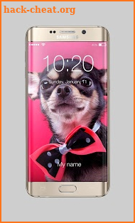 Chihuahua Little Cute Dog Lock Screen PIN Security screenshot