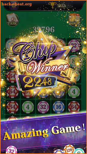 Chip Winner 2248 screenshot