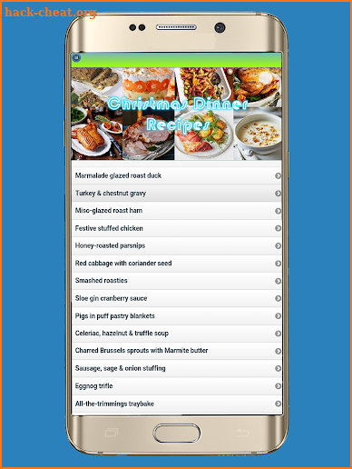 Christmas Dinner Recipes screenshot