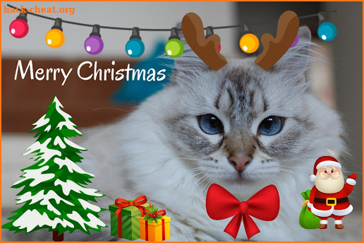 Christmas Photo Stickers screenshot