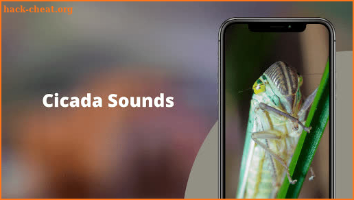 Cicada Sounds screenshot