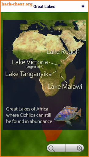 Cichlid Heaven screenshot