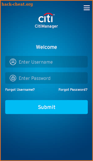 CitiManager screenshot