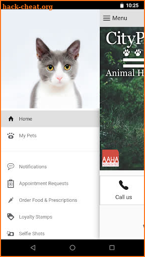 CityPaws Animal Hospital screenshot