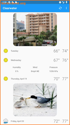 Clearwater, FL -  weather and more screenshot