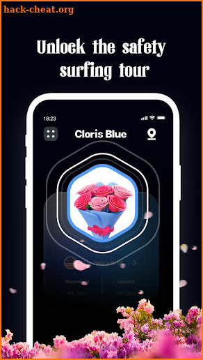 Cloris Blue VPN screenshot