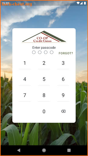 CO-OP Credit Union screenshot