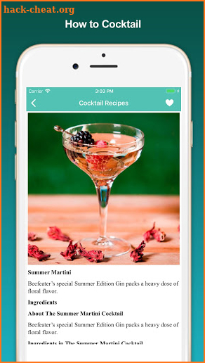 Cocktail Recipes, mixed drinks screenshot