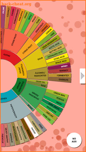 Coffee Flavour Wheel App screenshot