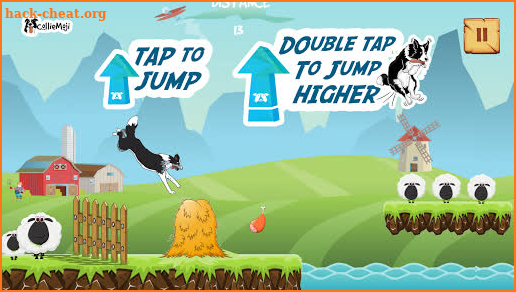 CollieRun - Free Dog game agility training border screenshot