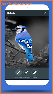 Color Splash New Version Photo Editor 2018 screenshot