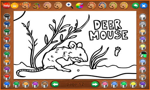 Coloring Book 27: Woodland Animals screenshot