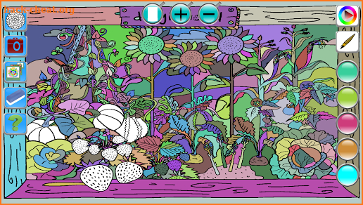 Coloring Expression screenshot