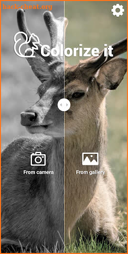 Colorize it - Colorize Black and White Photos screenshot