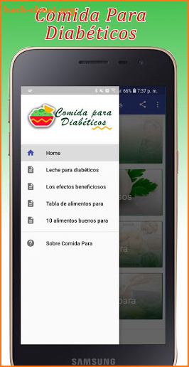 Comida Para Diabeticos screenshot