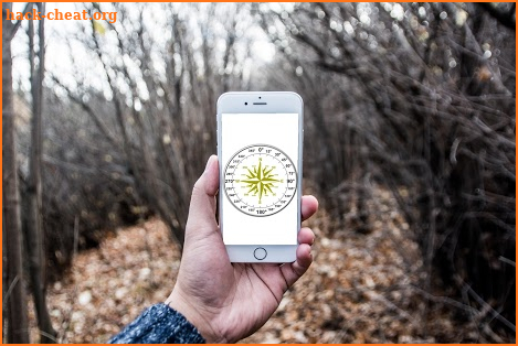 Compass and Navigation screenshot