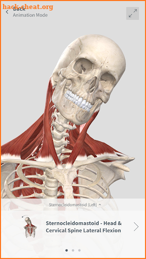 Complete Anatomy for Android screenshot