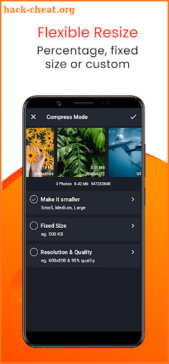 Compress Image Chitro: KB, MB, Resolution, Quality screenshot