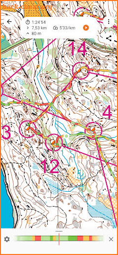 Control Orienteering Analysis screenshot