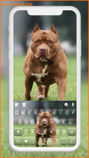 Cool Pitbull Keyboard Background screenshot