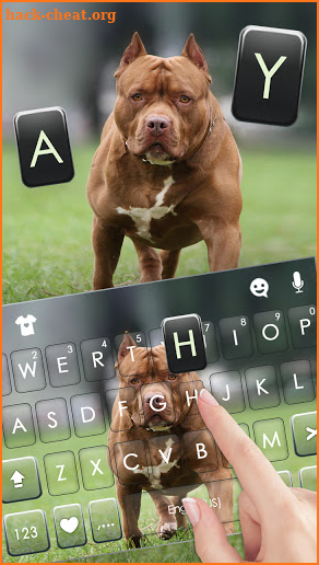 Cool Pitbull Keyboard Background screenshot