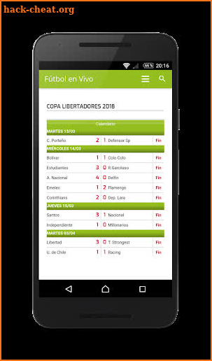 Copa Libertadores en vivo screenshot