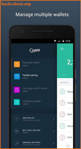 Copay Bitcoin Wallet screenshot