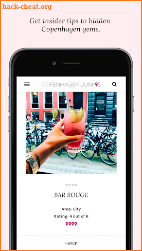 Copenhagen Junkie screenshot