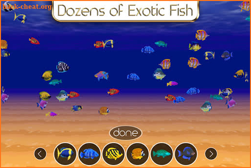 Coral Reef Fish Aquarium Sim screenshot