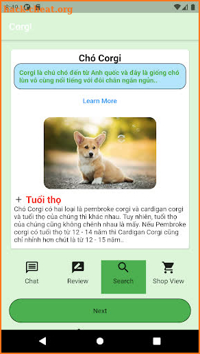 Corgi screenshot