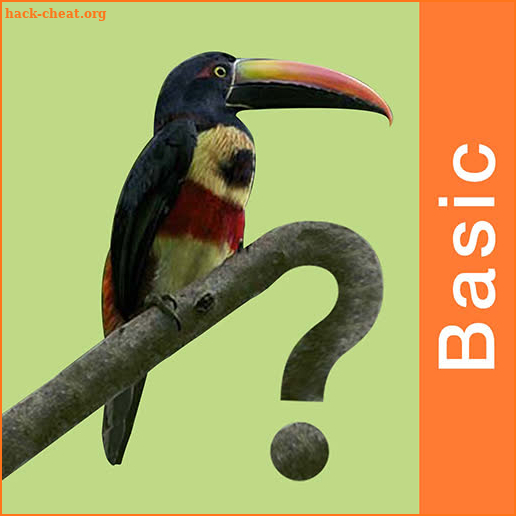 Costa Rica Birds FGuide Basic screenshot