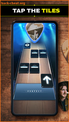 Country Star: Music Game screenshot