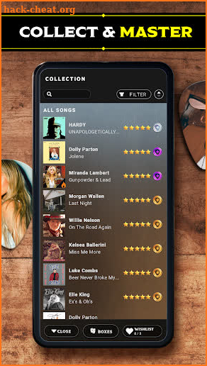 Country Star: Music Game screenshot