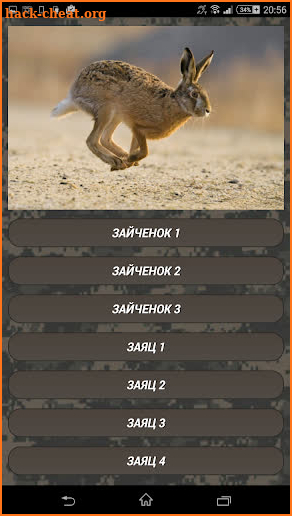 Coyote hunting calls: coyote, fox, wolf sounds screenshot