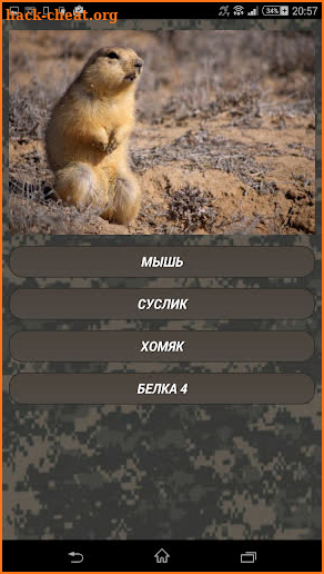 Coyote hunting calls: coyote, fox, wolf sounds screenshot