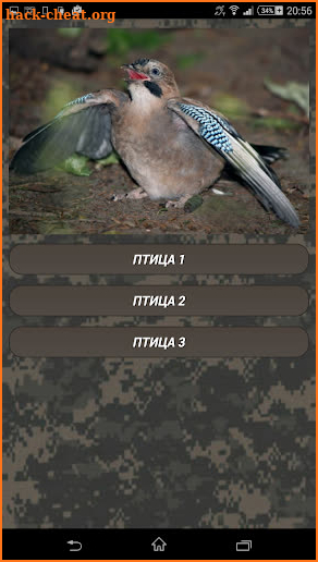 Coyote hunting calls Pro: coyote, fox, wolf sounds screenshot