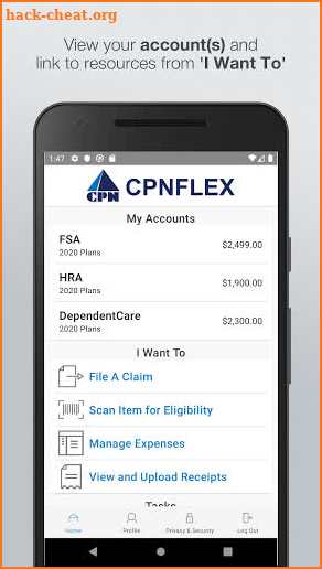 CPNFLEX screenshot