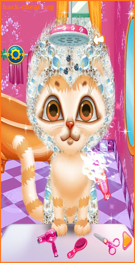 Crazy Kitty Cat Salon & Kitty Daily Activity Game screenshot