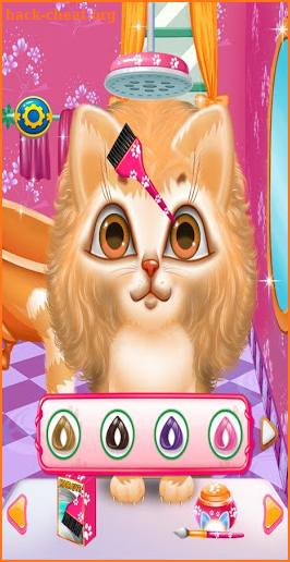 Crazy Kitty Cat Salon & Kitty Daily Activity Game screenshot