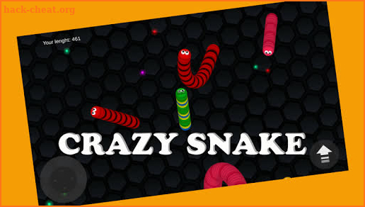 Crazy Snake - Slither Game screenshot