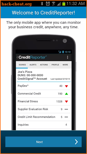 Credit Report screenshot